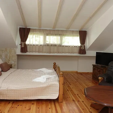 за гости Radea