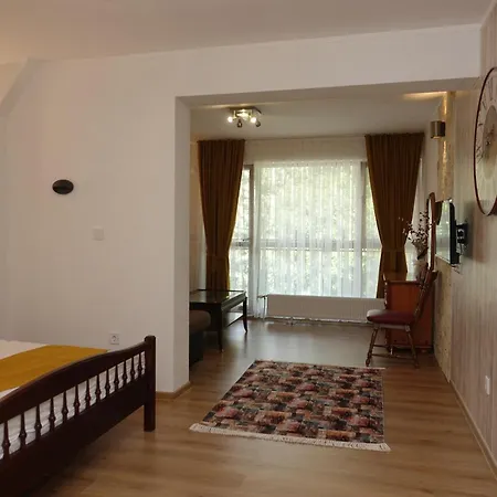 за гости Radea Apartament